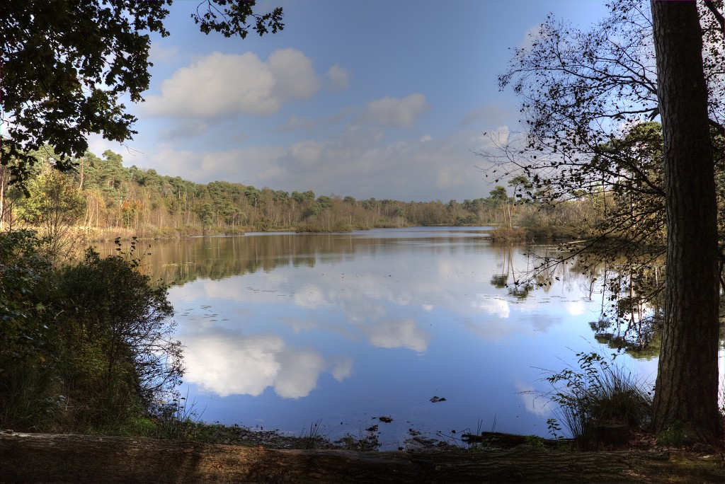 Oisterwijkse Bossen en Vennen Kampina natuurgebied natuur oisterwijk Nationaal park Landschap Het Groene Woud hei heide bossen natuurmonumenten brabant baronie boswachterij dorst